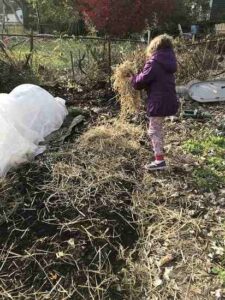 Deep Mulching: Give Your Garden the Gift of a Cozy Winter Blanket Image